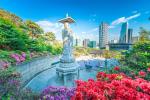 COREA Y JAPON ** SALIDA GRUPAL
