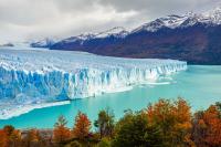 CALAFATE